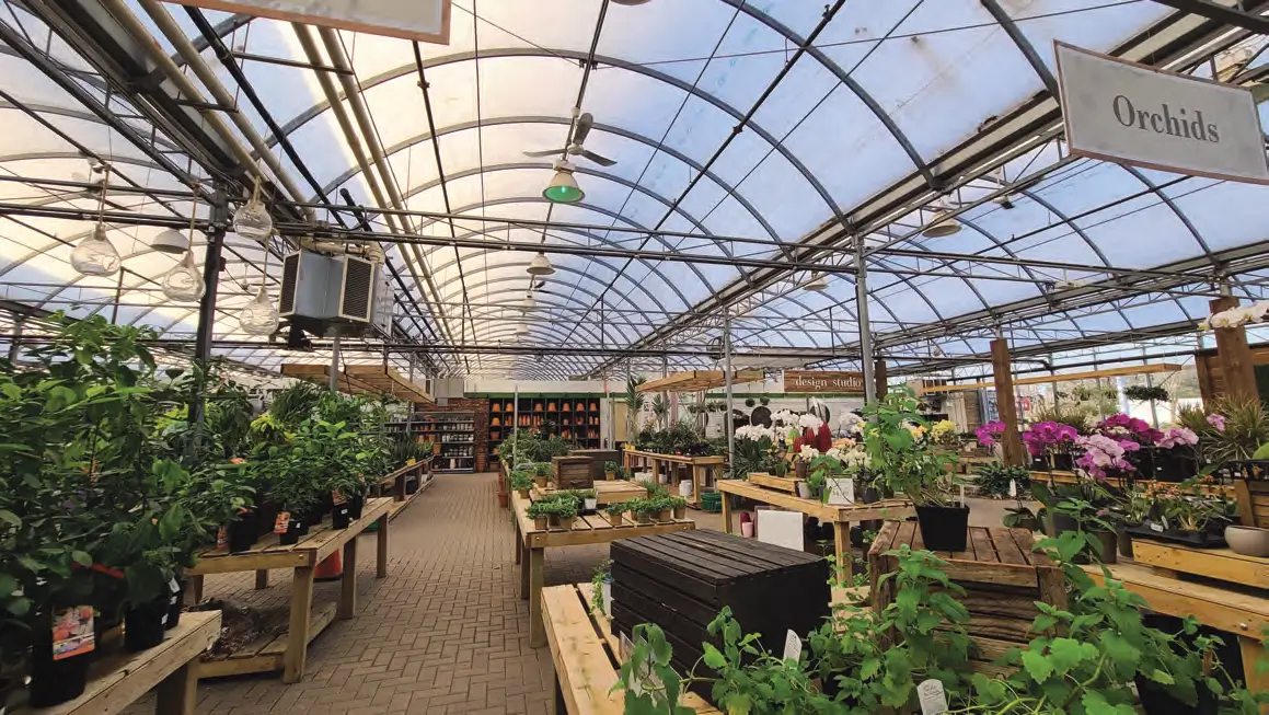 Growing Savings While Helping The Environment